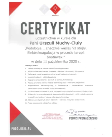 certyfikat 11